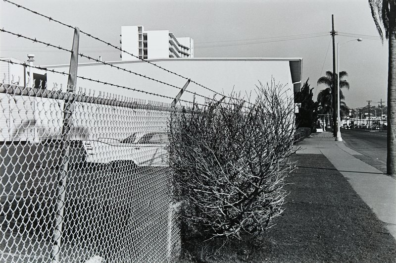 Lee Friedlander Career Highlights