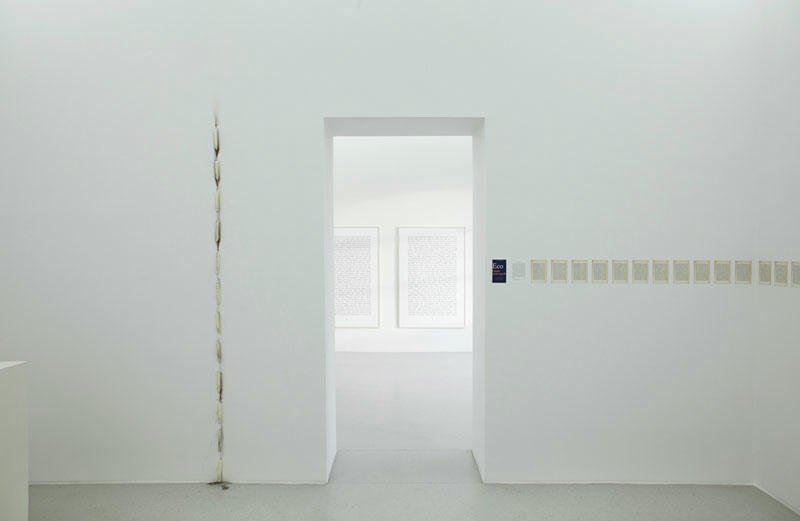 Luis Camnitzer - Installation view