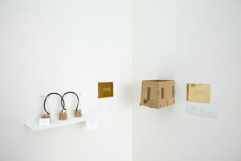 Luis Camnitzer - Installation view