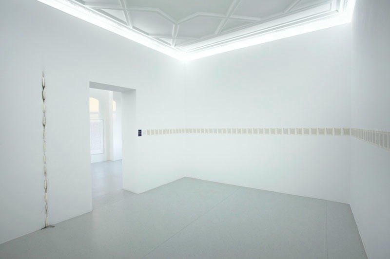 Luis Camnitzer - Installation view