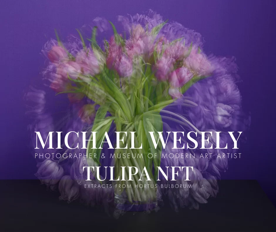 Tulipa NFT 4 Michel Wesely